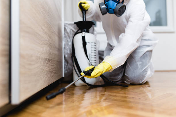 Best Termite Control Services  in Smyrna, DE