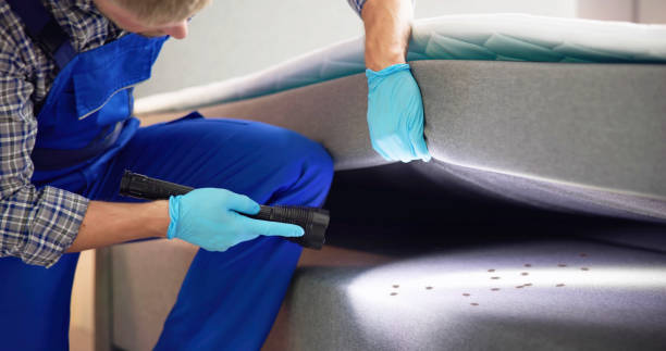 Best Bed Bug Extermination  in Smyrna, DE